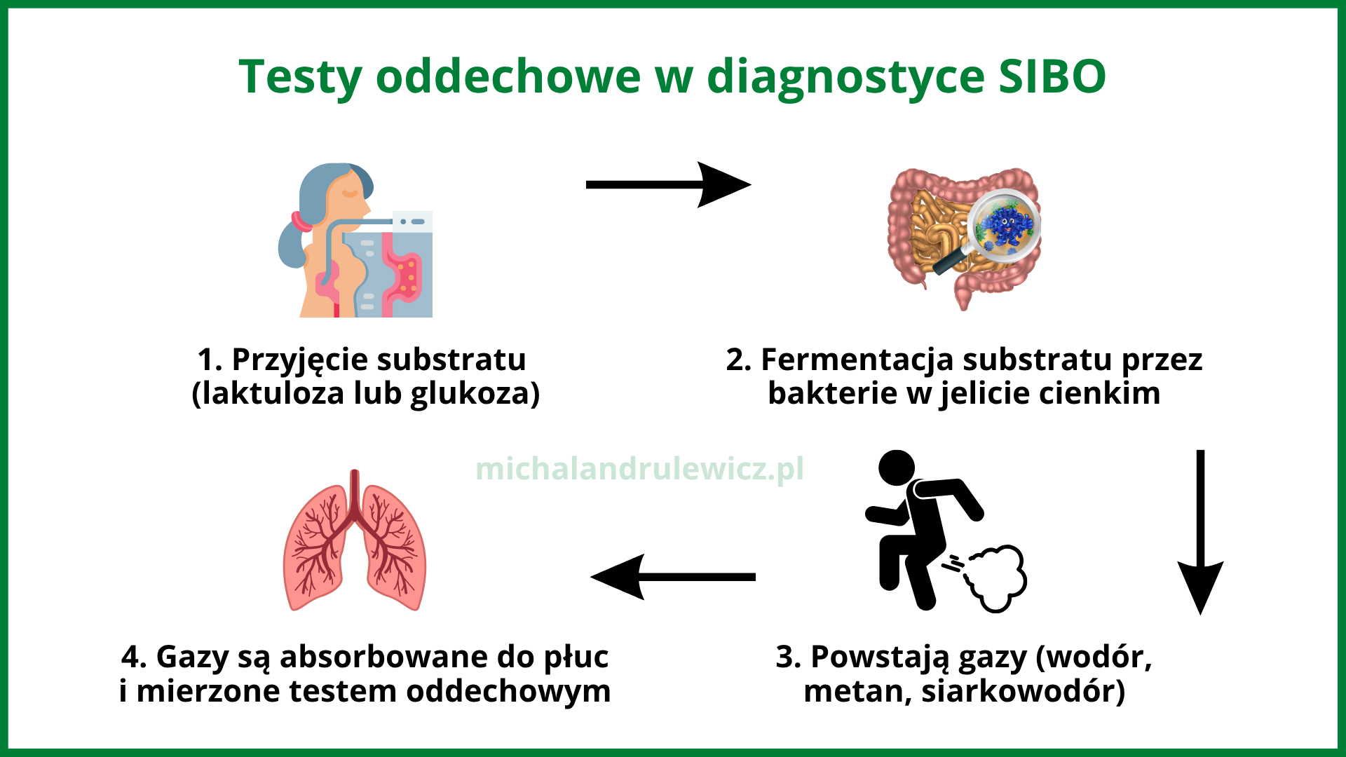 Infografika pokazująca etapy działania testu oddechowego w diagnostyce SIBO.