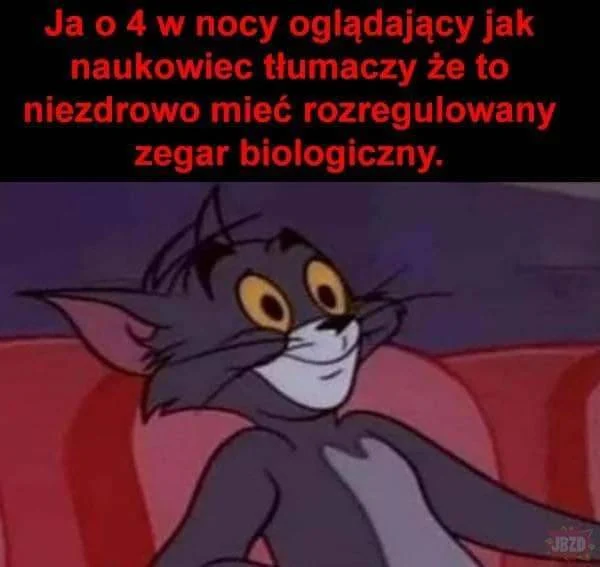 memy zegar biologiczny