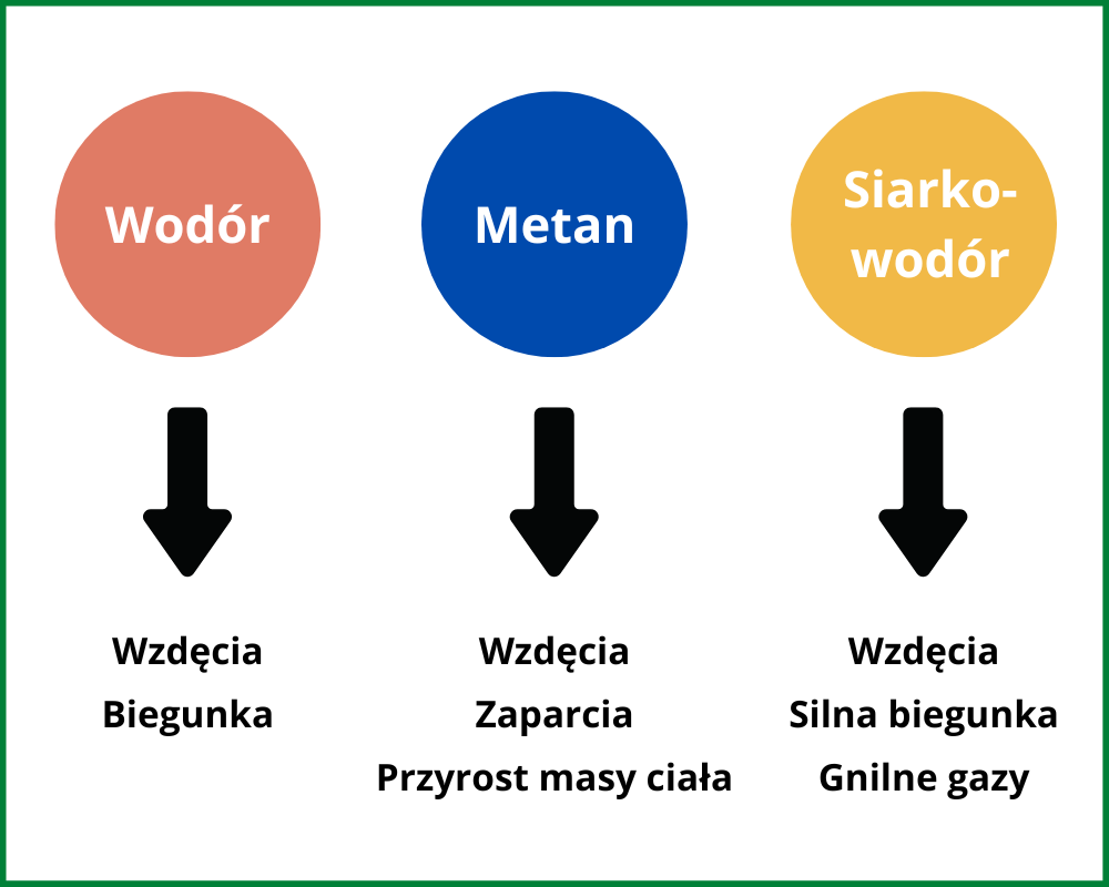 Infografika przedstawiająca trzy typy gazów produkowanych przy SIBO: wodór (wzdęcia, biegunka), metan (wzdęcia, zaparcia, przyrost masy ciała) i siarkowodór (wzdęcia, silna biegunka, gnilne gazy).