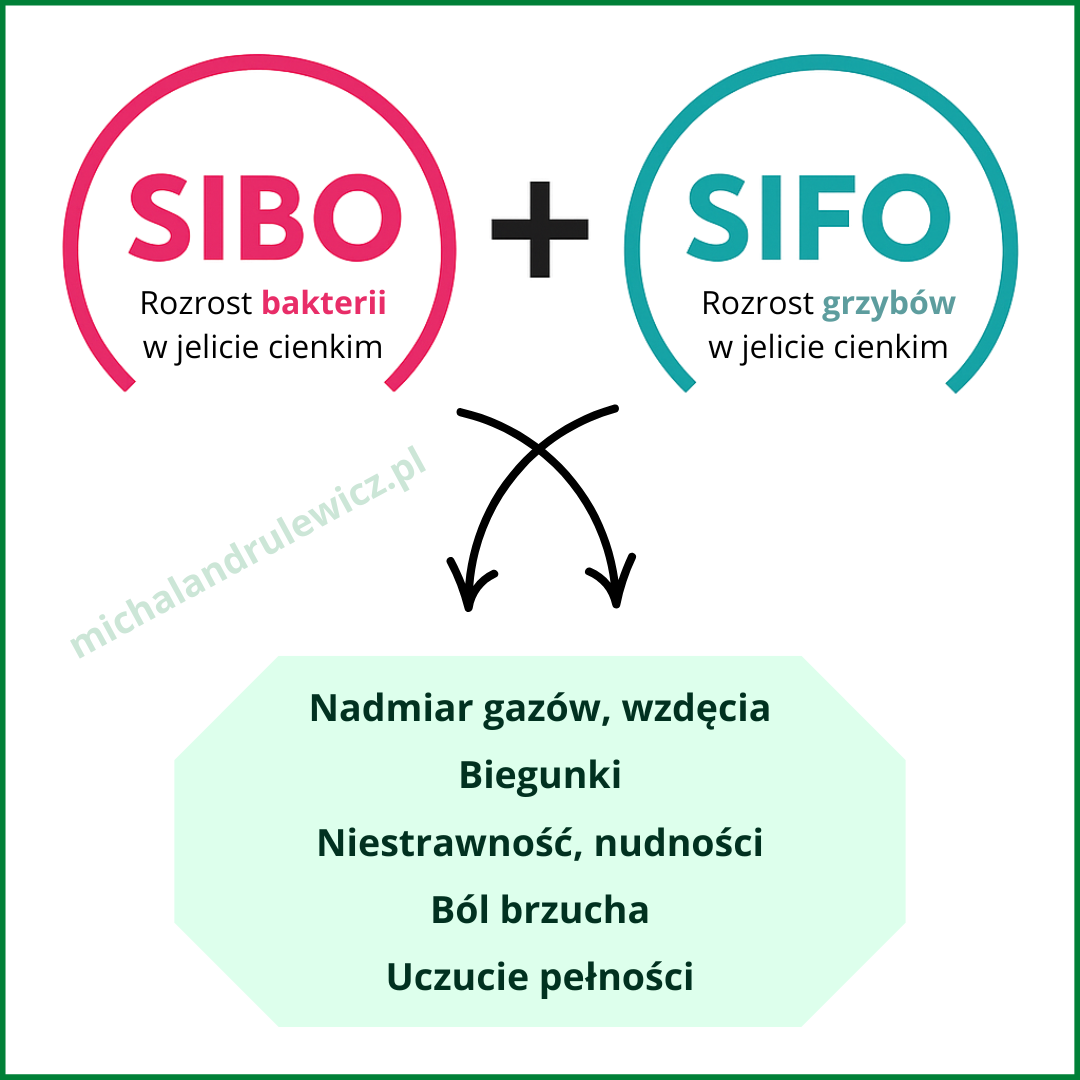 Infografika porównująca SIBO i SIFO – rozrost bakterii i grzybów w jelicie cienkim. Wspólne objawy: wzdęcia, nadmiar gazów, biegunki, bóle brzucha, nudności.