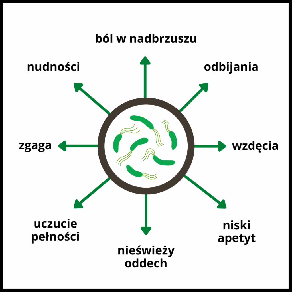 Grafika przedstawiająca typowe objawy infekcji Helicobacter pylori: ból w nadbrzuszu, odbijania, wzdęcia, niski apetyt, nieświeży oddech, uczucie pełności, zgaga i nudności.